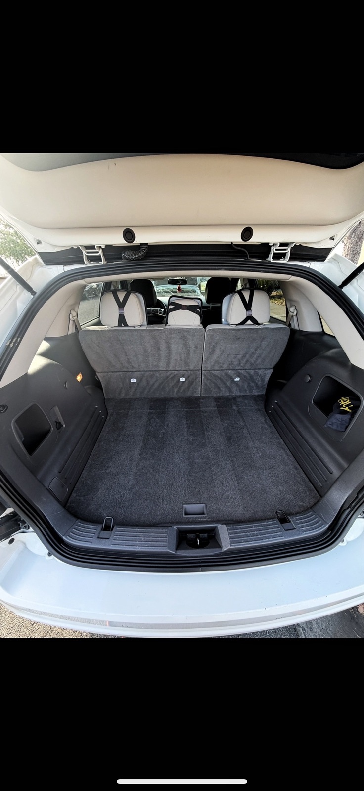 Vacuum lines across freshly extracted cargo-area carpet in an SUV